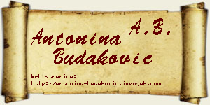 Antonina Budaković vizit kartica